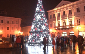 Choinka rozbłysnęła